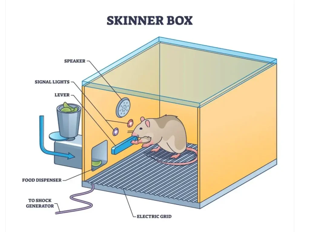 Thuyết Hành Vi (Phần 3): Operant Conditioning: thí nghiệm, hạn chế và ứng dụng