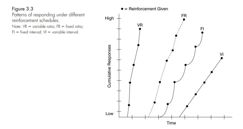 Thuyết Hành Vi (Phần 3): Operant Conditioning: thí nghiệm, hạn chế và ứng dụng